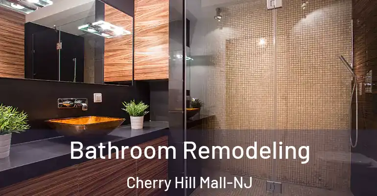 inner Bathroom imggen Bathroom Remodeling Cherry Hill Mall-NJ