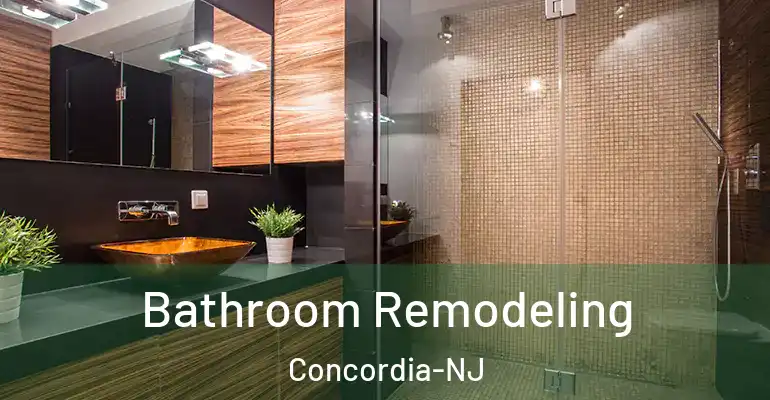 inner Bathroom imggen Bathroom Remodeling Concordia-NJ