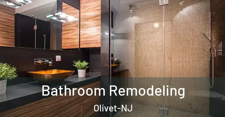 inner Bathroom imggen Bathroom Remodeling Olivet-NJ
