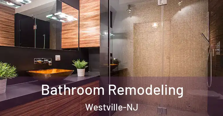 inner Bathroom imggen Bathroom Remodeling Westville-NJ