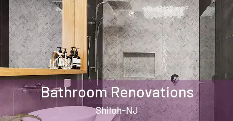 inner Bathroom imggen Bathroom Renovations Shiloh-NJ