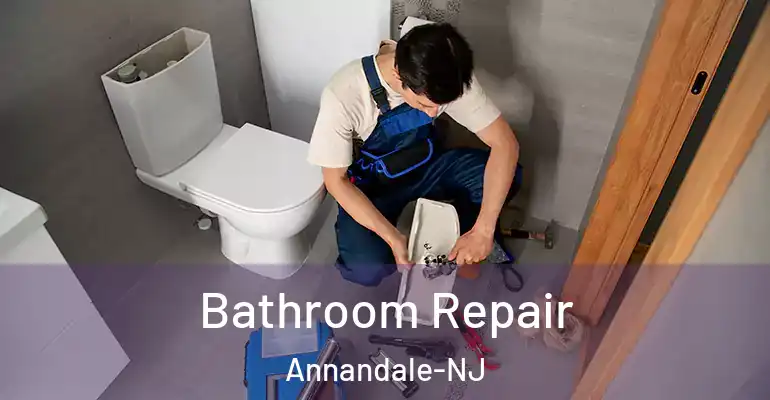 inner Bathroom imggen Bathroom Repair Annandale-NJ