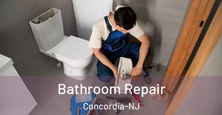 inner Bathroom imggen Bathroom Repair Concordia-NJ