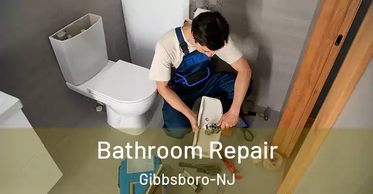 inner Bathroom imggen Bathroom Repair Gibbsboro-NJ