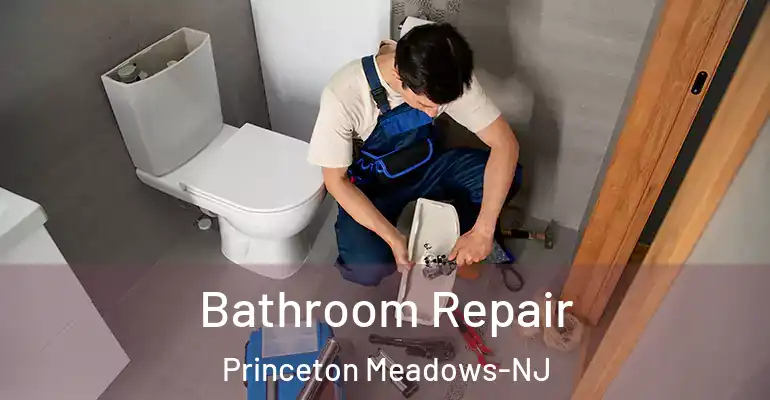 inner Bathroom imggen Bathroom Repair Princeton Meadows-NJ