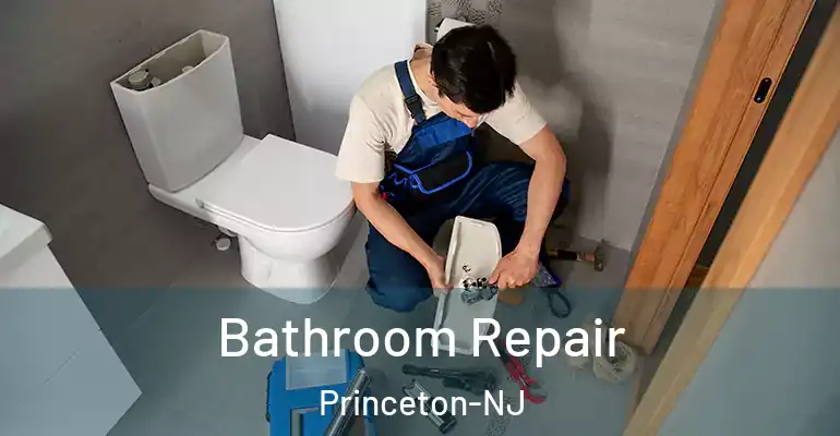 inner Bathroom imggen Bathroom Repair Princeton-NJ