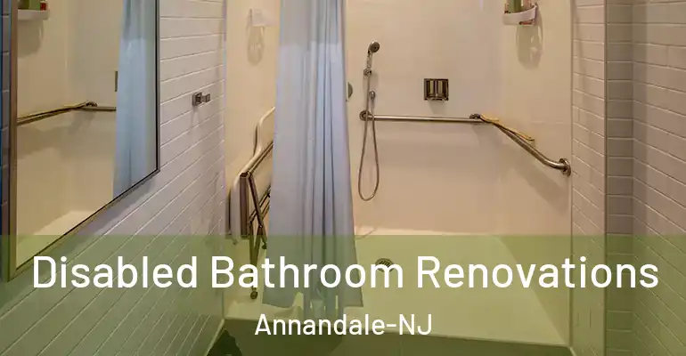 inner Bathroom imggen Disabled Bathroom Renovations Annandale-NJ