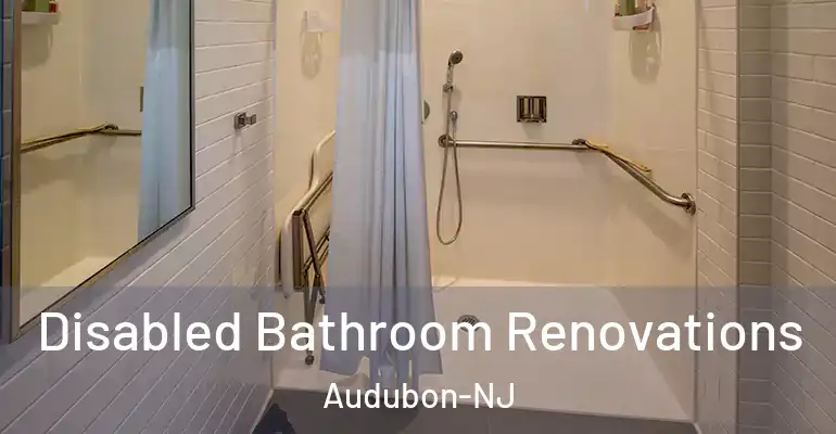 inner Bathroom imggen Disabled Bathroom Renovations Audubon-NJ