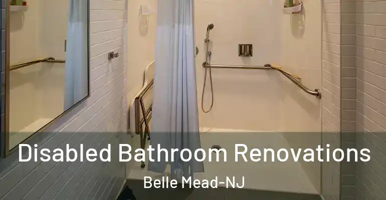 inner Bathroom imggen Disabled Bathroom Renovations Belle Mead-NJ
