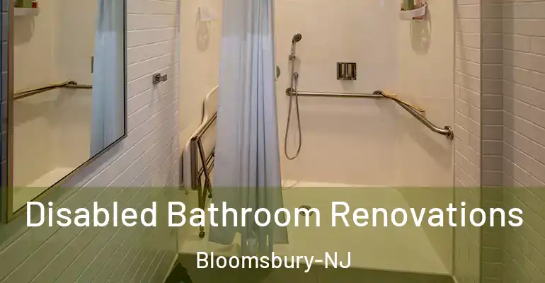 inner Bathroom imggen Disabled Bathroom Renovations Bloomsbury-NJ