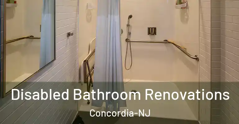 inner Bathroom imggen Disabled Bathroom Renovations Concordia-NJ