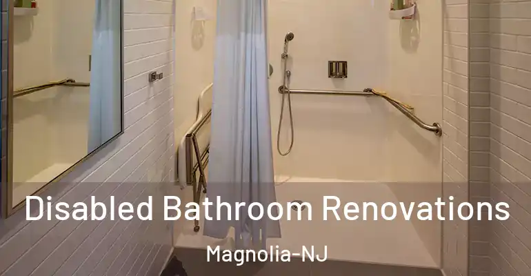 inner Bathroom imggen Disabled Bathroom Renovations Magnolia-NJ