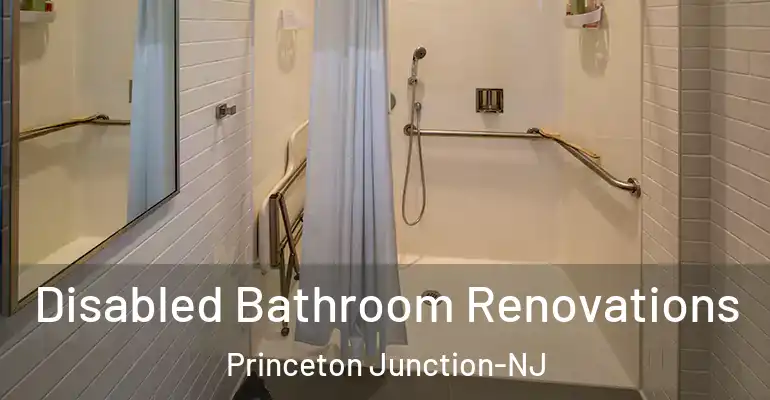 inner Bathroom imggen Disabled Bathroom Renovations Princeton Junction-NJ