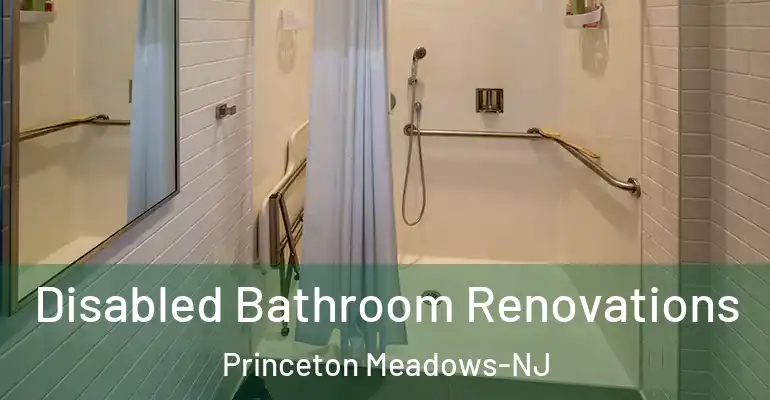 inner Bathroom imggen Disabled Bathroom Renovations Princeton Meadows-NJ