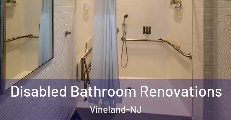 inner Bathroom imggen Disabled Bathroom Renovations Vineland-NJ