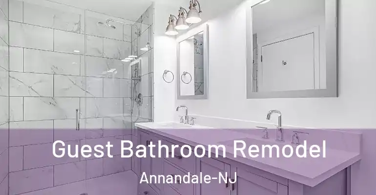 inner Bathroom imggen Guest Bathroom Remodel Annandale-NJ