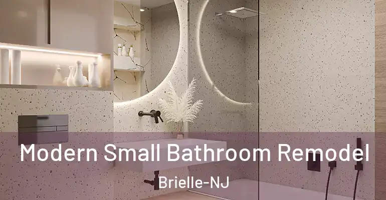 inner Bathroom imggen Modern Small Bathroom Remodel Brielle-NJ