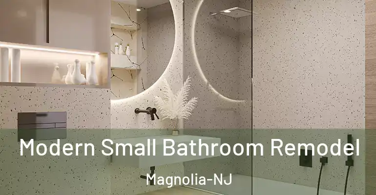 inner Bathroom imggen Modern Small Bathroom Remodel Magnolia-NJ
