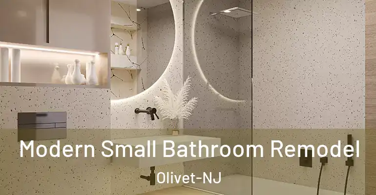 inner Bathroom imggen Modern Small Bathroom Remodel Olivet-NJ