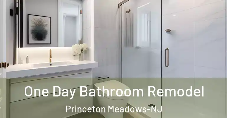inner Bathroom imggen One Day Bathroom Remodel Princeton Meadows-NJ