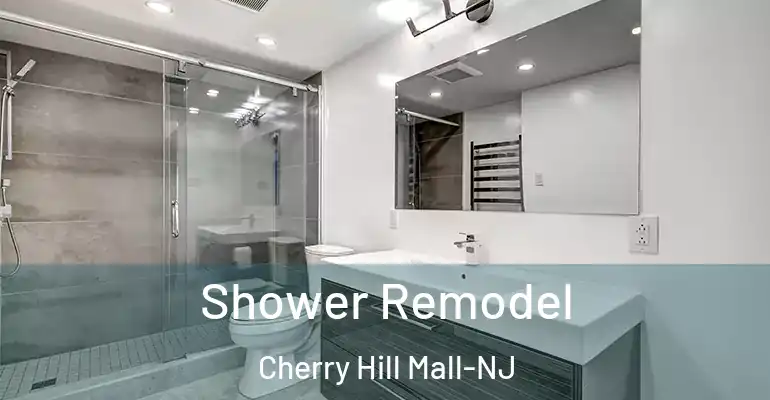 inner Bathroom imggen Shower Remodel Cherry Hill Mall-NJ