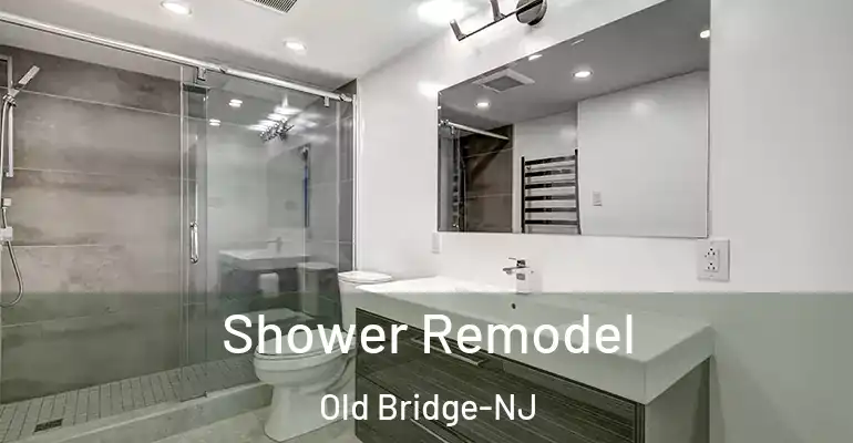 inner Bathroom imggen Shower Remodel Old Bridge-NJ