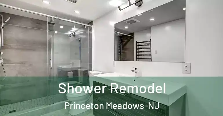 inner Bathroom imggen Shower Remodel Princeton Meadows-NJ