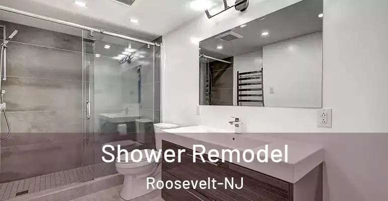 inner Bathroom imggen Shower Remodel Roosevelt-NJ
