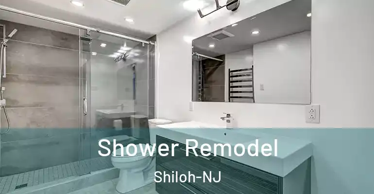 inner Bathroom imggen Shower Remodel Shiloh-NJ