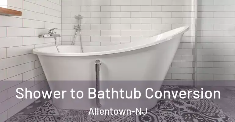inner Bathroom imggen Shower to Bathtub Conversion Allentown-NJ