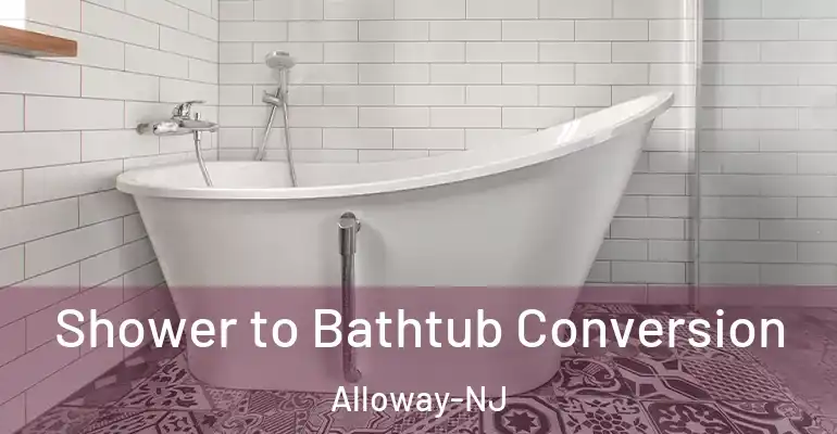 inner Bathroom imggen Shower to Bathtub Conversion Alloway-NJ