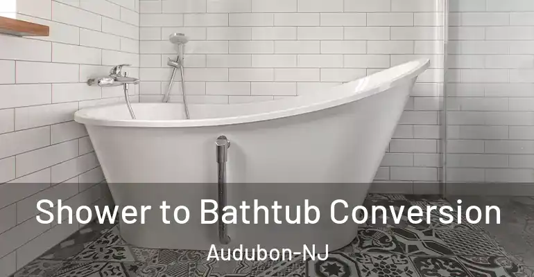 inner Bathroom imggen Shower to Bathtub Conversion Audubon-NJ