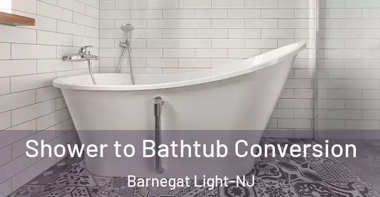 inner Bathroom imggen Shower to Bathtub Conversion Barnegat Light-NJ