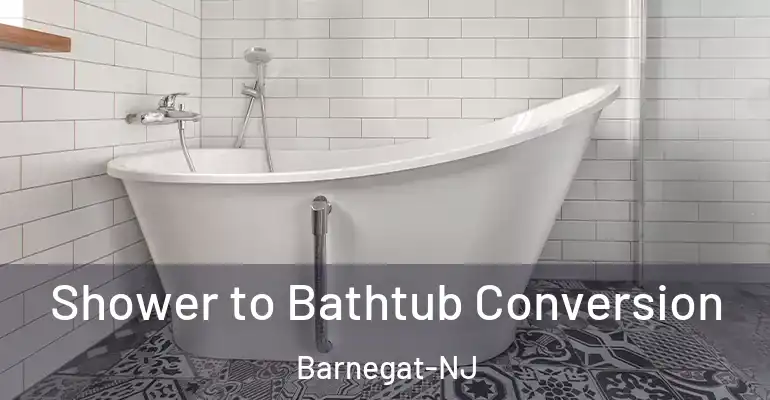 inner Bathroom imggen Shower to Bathtub Conversion Barnegat-NJ