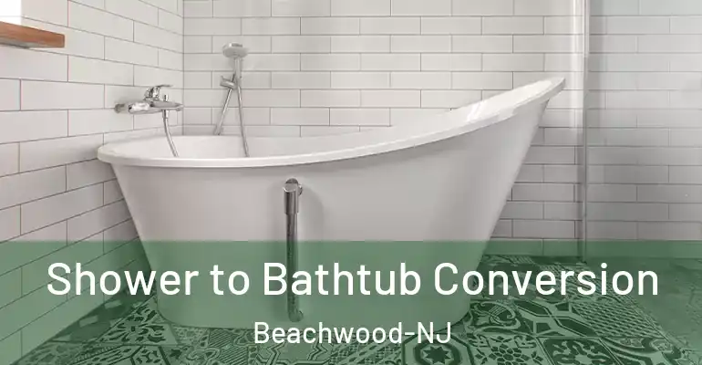 inner Bathroom imggen Shower to Bathtub Conversion Beachwood-NJ