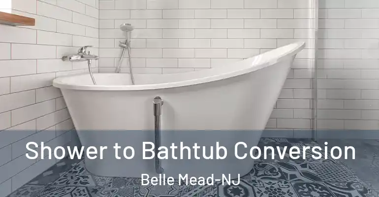 inner Bathroom imggen Shower to Bathtub Conversion Belle Mead-NJ