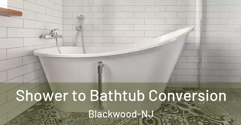 inner Bathroom imggen Shower to Bathtub Conversion Blackwood-NJ