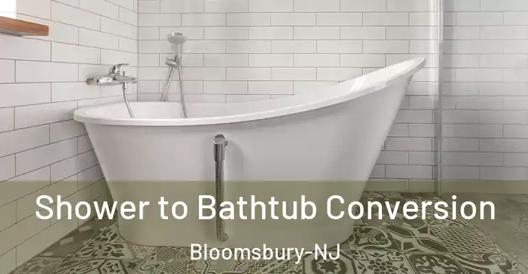 inner Bathroom imggen Shower to Bathtub Conversion Bloomsbury-NJ
