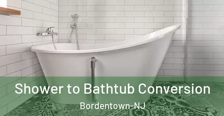 inner Bathroom imggen Shower to Bathtub Conversion Bordentown-NJ