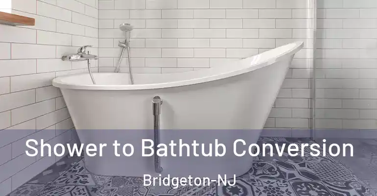 inner Bathroom imggen Shower to Bathtub Conversion Bridgeton-NJ