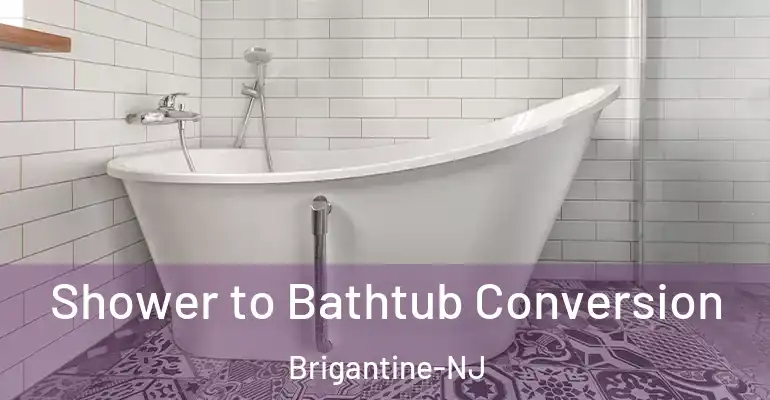 inner Bathroom imggen Shower to Bathtub Conversion Brigantine-NJ