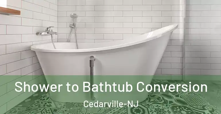 inner Bathroom imggen Shower to Bathtub Conversion Cedarville-NJ