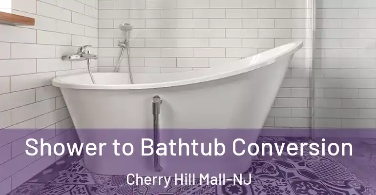 inner Bathroom imggen Shower to Bathtub Conversion Cherry Hill Mall-NJ