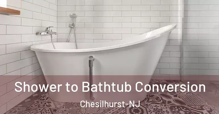 inner Bathroom imggen Shower to Bathtub Conversion Chesilhurst-NJ