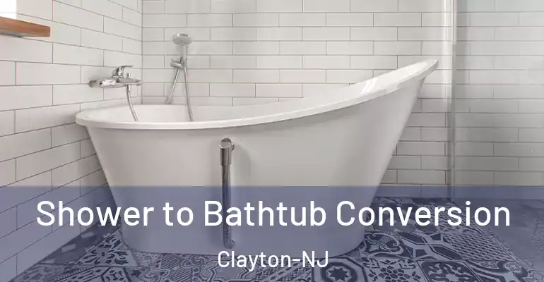 inner Bathroom imggen Shower to Bathtub Conversion Clayton-NJ