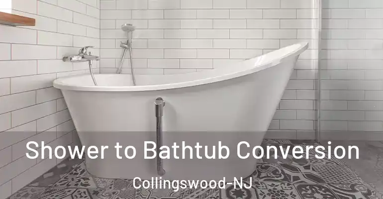 inner Bathroom imggen Shower to Bathtub Conversion Collingswood-NJ