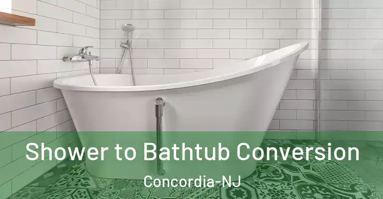 inner Bathroom imggen Shower to Bathtub Conversion Concordia-NJ