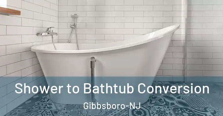 inner Bathroom imggen Shower to Bathtub Conversion Gibbsboro-NJ