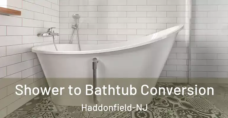 inner Bathroom imggen Shower to Bathtub Conversion Haddonfield-NJ