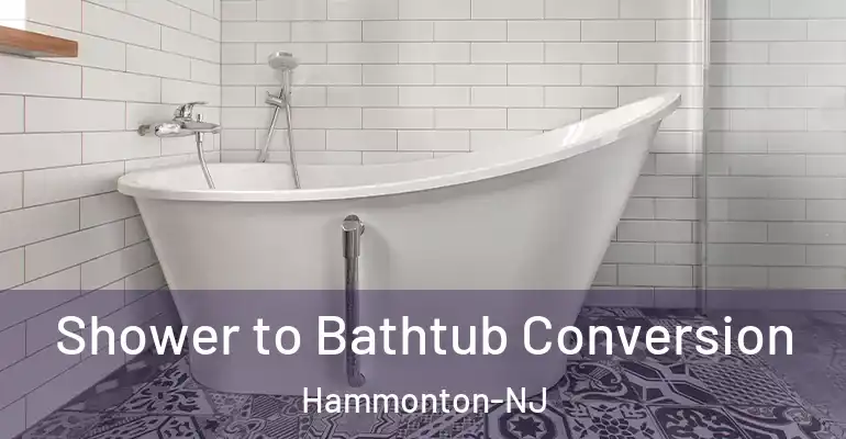 inner Bathroom imggen Shower to Bathtub Conversion Hammonton-NJ